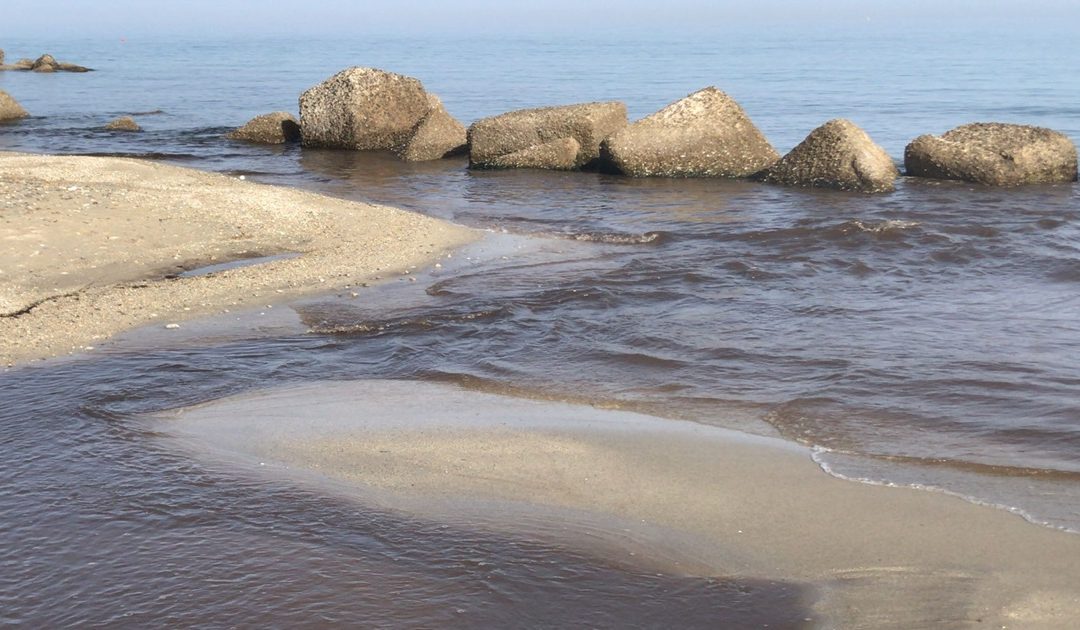 Come si presenta oggi il torrente Sant'Anna