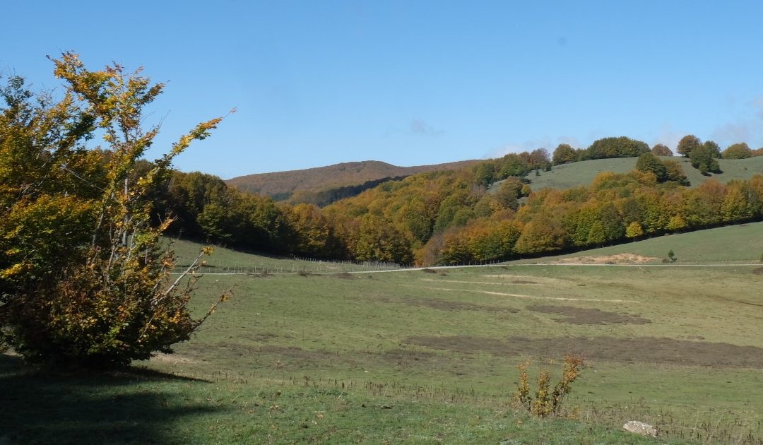 Siluna Fest, un viaggio sulle montagne calabresi