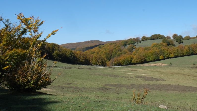 Siluna Fest, un viaggio sulle montagne calabresi