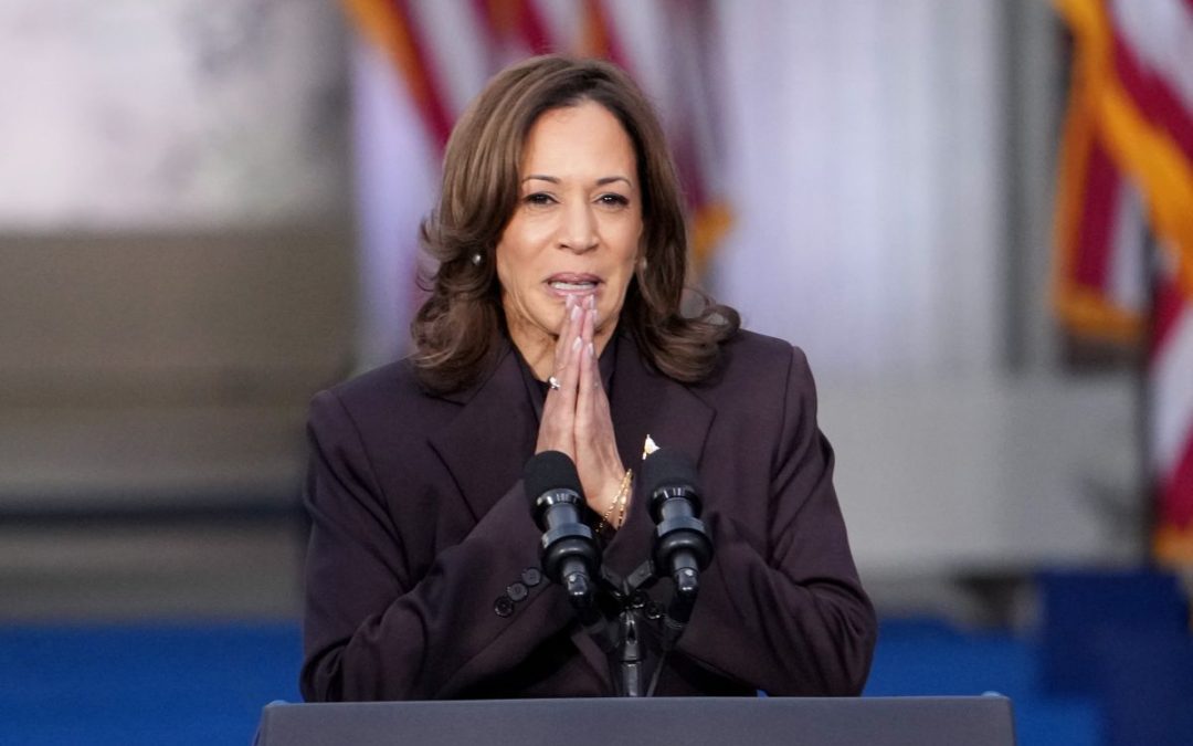 Kamala Harris “Orgogliosa del lavoro fatto. Non abbandonerò mai la lotta per la libertà”