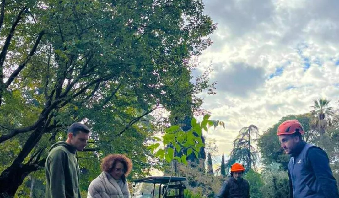 Reggia di Caserta, donati nove alberi storici per il Giardino Inglese