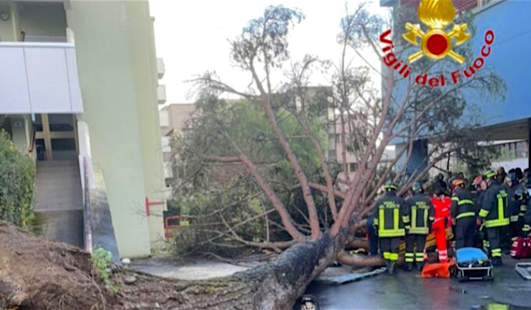 Salerno, albero crolla all’Università di Fisciano: cinque feriti