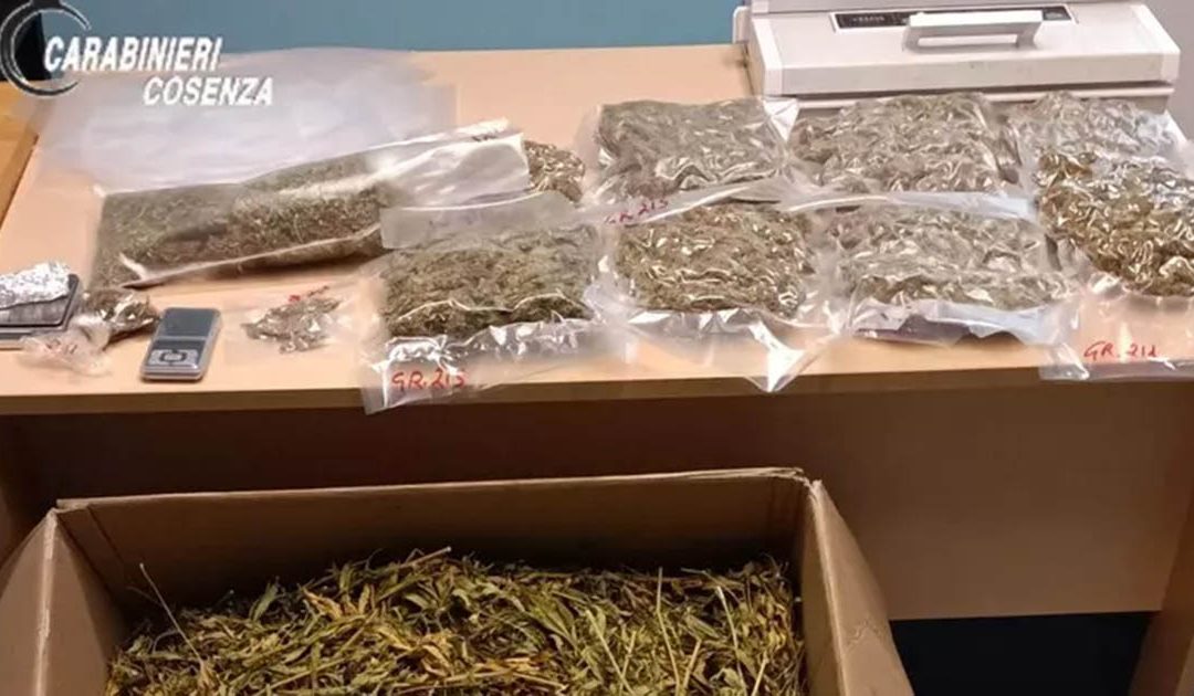 Droga nascosta in una valigia in casa, due arresti nel Cosentino