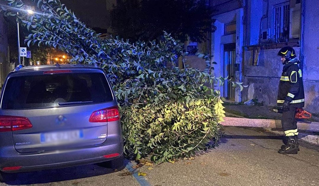 Maltempo in Calabria, danni a causa del vento forte