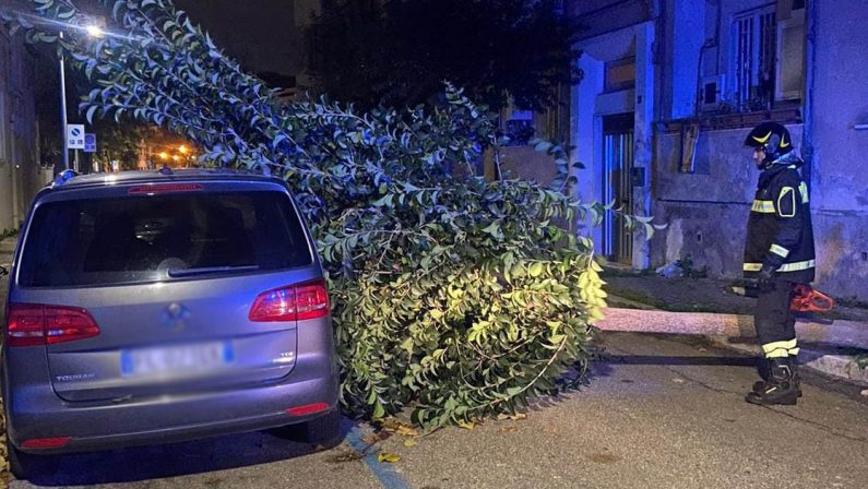 Maltempo in Calabria, danni a causa del vento forte