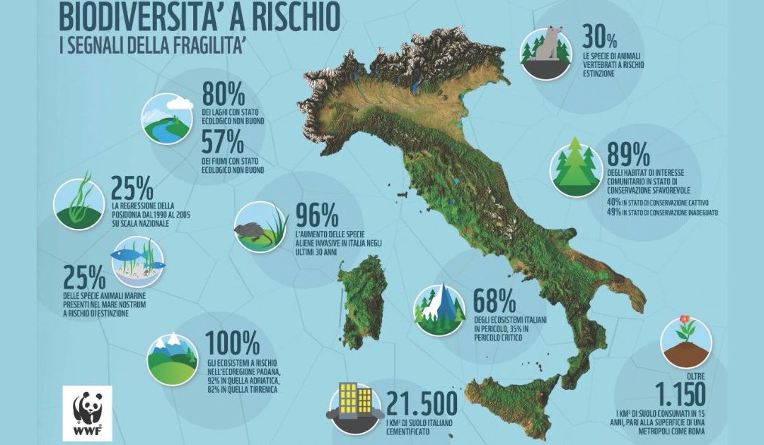 Cambiamento climatico: l’inversione di rotta è possibile