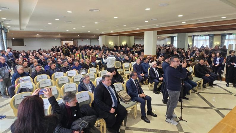 Il Consorzio unico della Calabria celebra il suo primo anno: "Bilancio positivo"