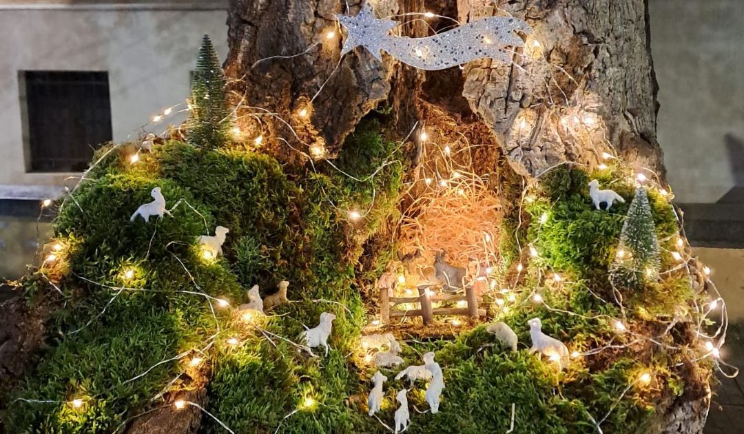 A Cosenza si ripete la magia del piccolo presepe nell’albero