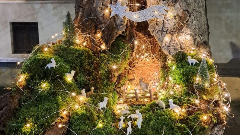 A Cosenza si ripete la magia del piccolo presepe nell’albero