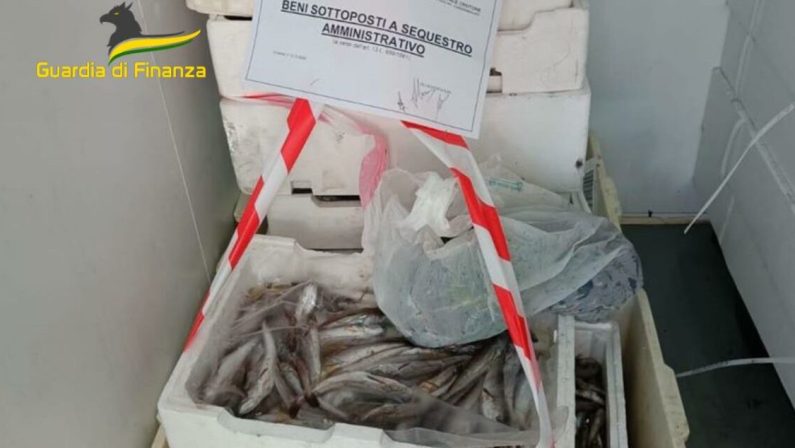 Crotone, sequestrati 400 chili prodotti ittici: multe per 8mila euro