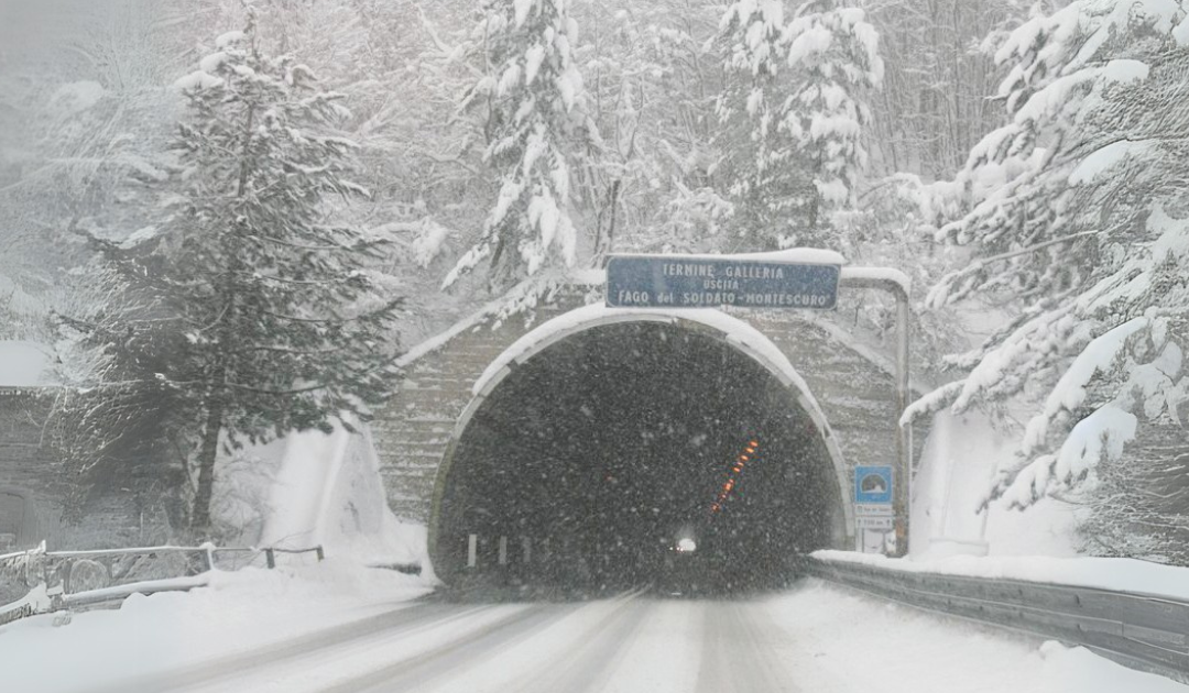 Nevicate in Sila