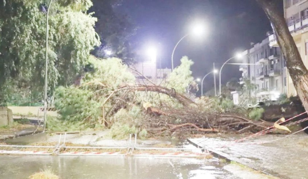 Allerta rossa: vento forte, diluvi ma pochi danni in Calabria