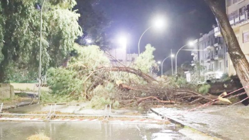 Allerta rossa: vento forte, diluvi ma pochi danni in Calabria