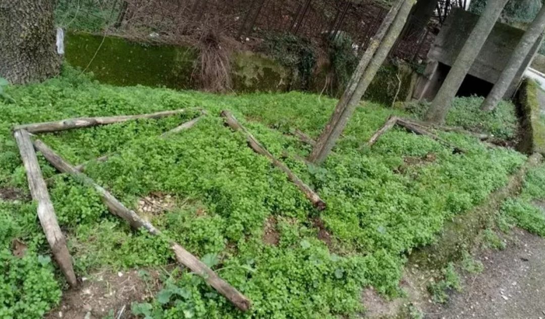 Vandalismo a Orsara: un paese sotto attacco, il sindaco denuncia