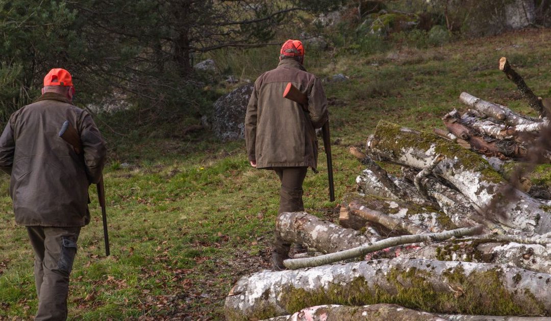 Una battuta di caccia