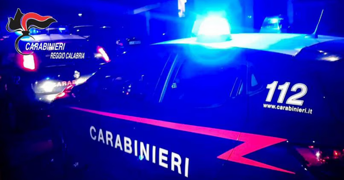 https://www.quotidianodelsud.it/wp-content/uploads/2025/01/carabinieri-reggio-calabria-1.png