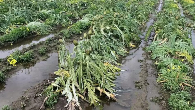 Eventi climatici estremi, l'analisi di Coldiretti sui danni all'agricoltura nel Centro Sud