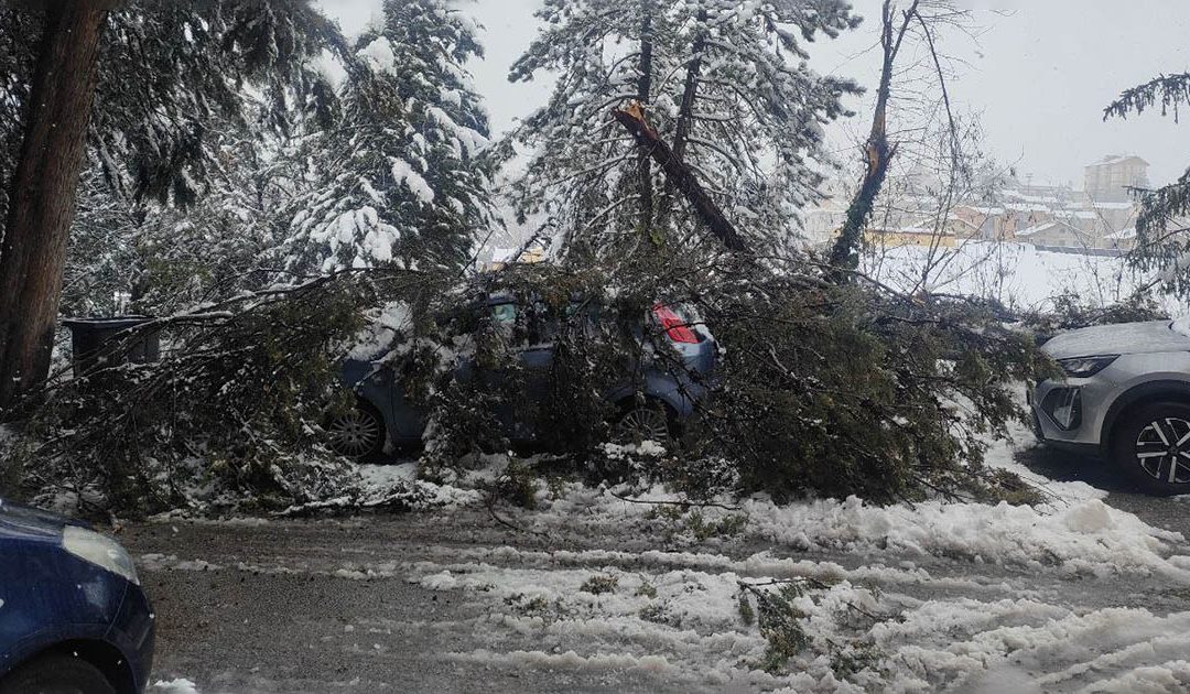 Una delle due auto danneggiate dagli alberi caduti a via Brescia (foto allegata alla nota delle opposizioni)