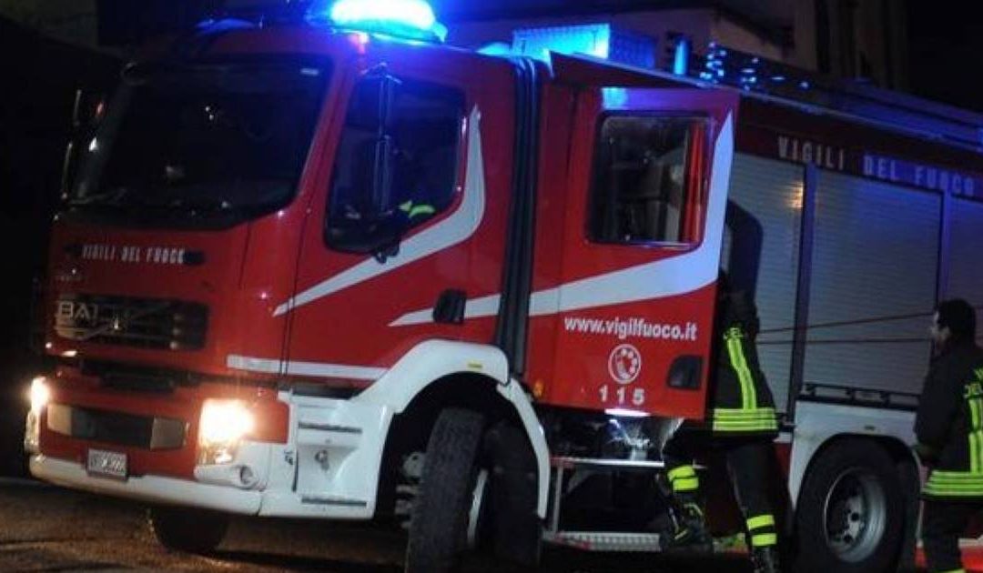 Incendio in un capannone nel Vibonese, danni a strutture e animali morti