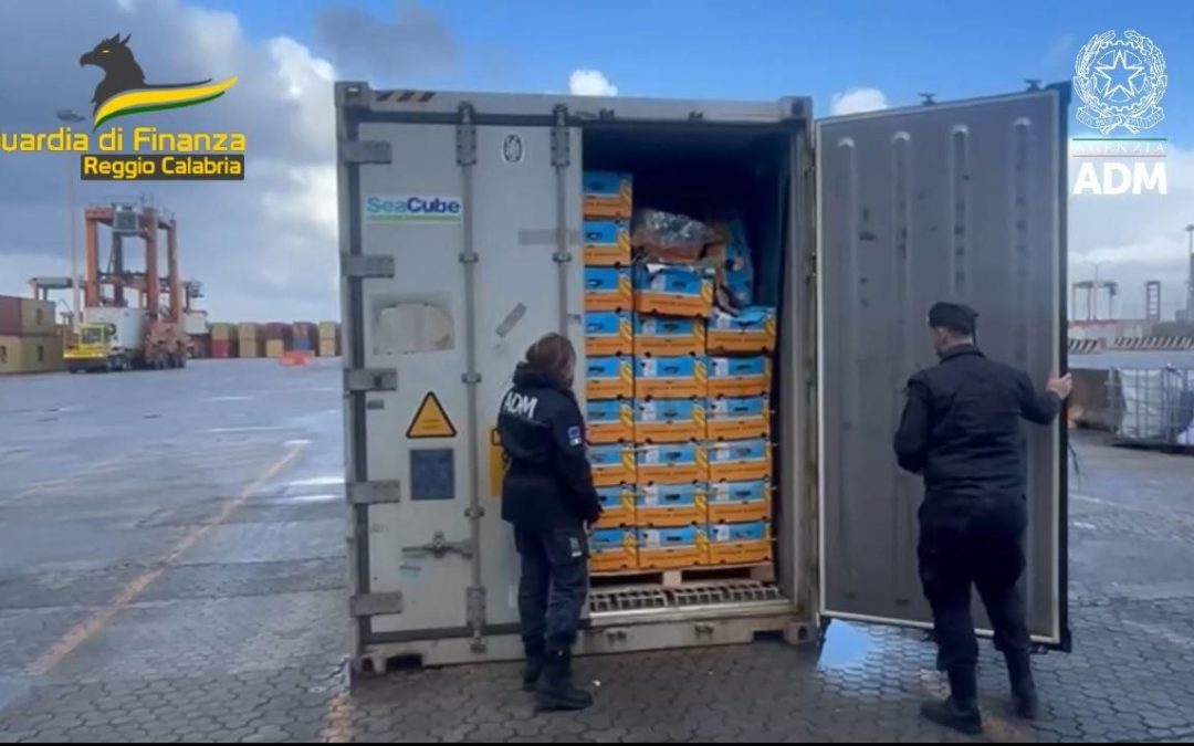 Blitz al porto di Gioia Tauro, sequestrati 27 chili di cocaina