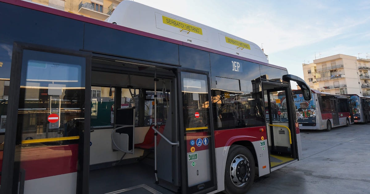 https://www.quotidianodelsud.it/wp-content/uploads/2025/02/bus-atam-reggio-calabria.jpg