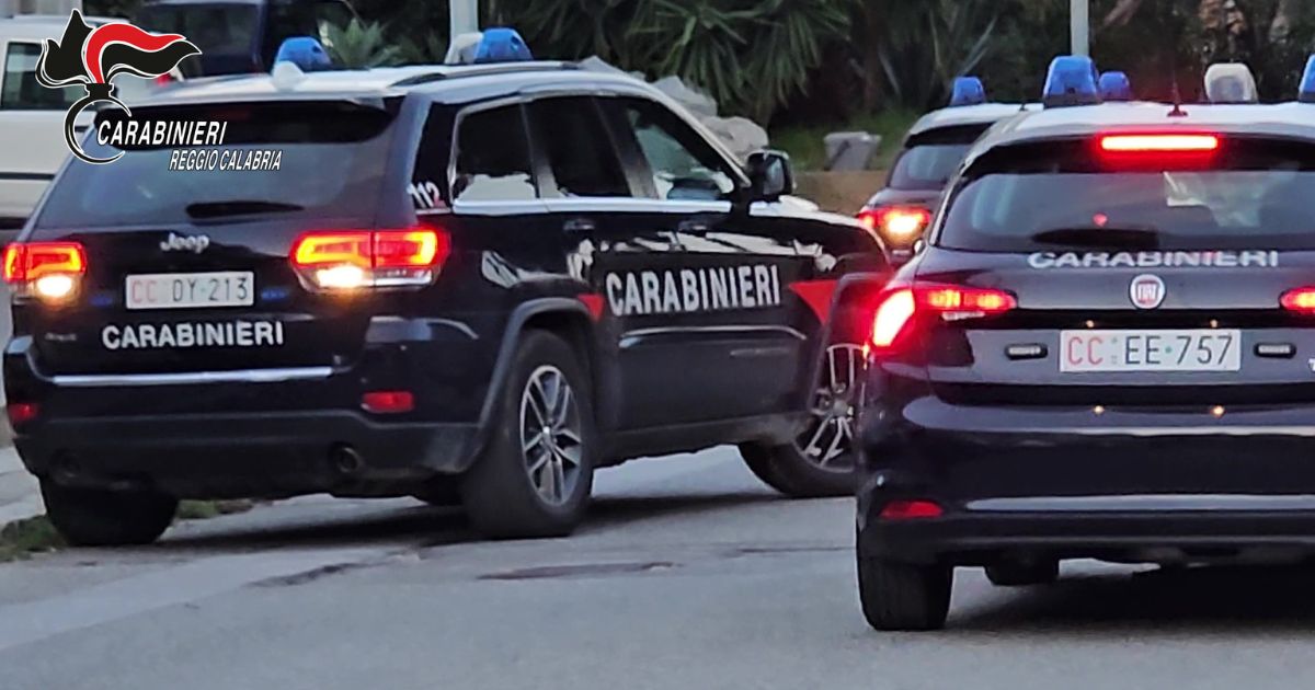 https://www.quotidianodelsud.it/wp-content/uploads/2025/02/carabinieri-reggio-calabria.jpg