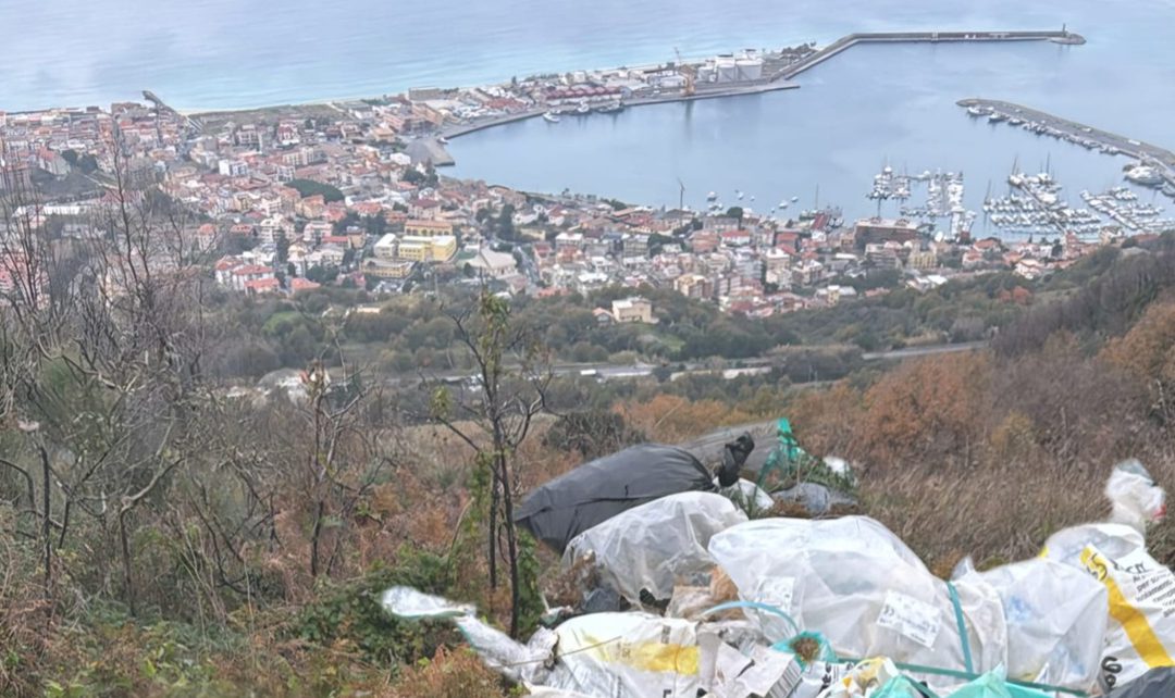 I rifiuti presenti nella zona. Sullo sfondo il porto di Vibo Marina